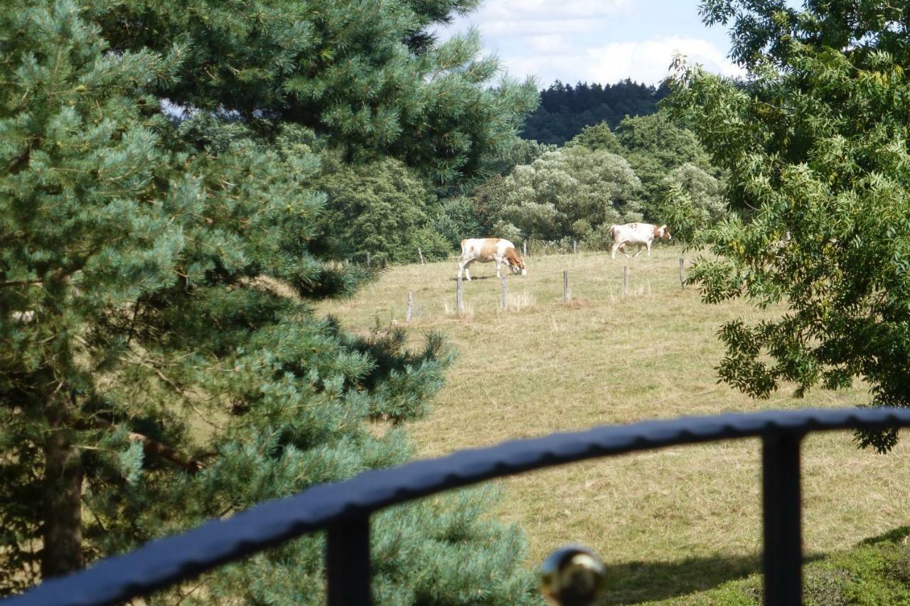 Ferienwohnung Am Eifelsteig Roetgen Buitenkant foto